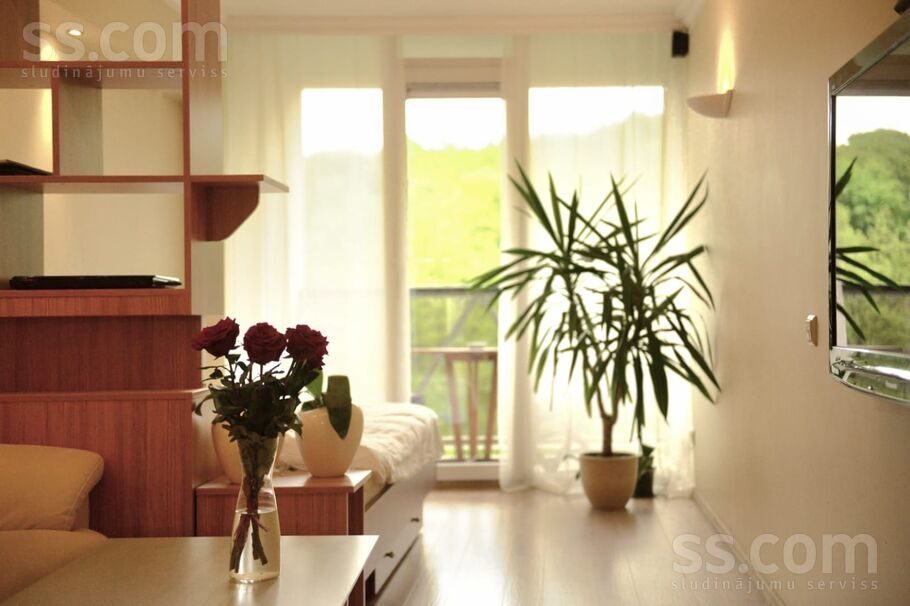 Apartment photo 3