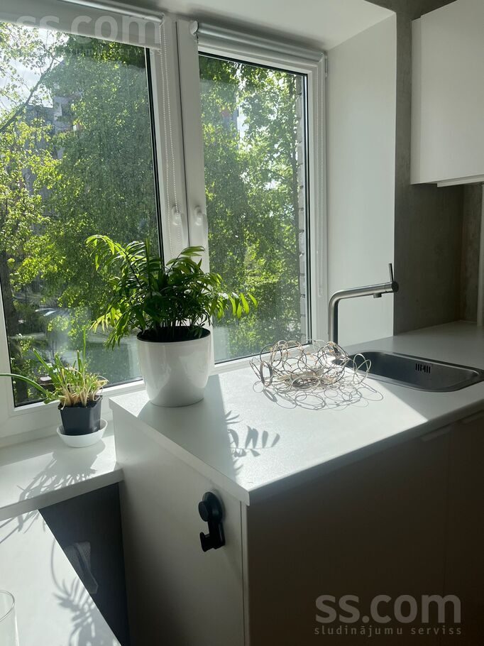 Apartment photo 3