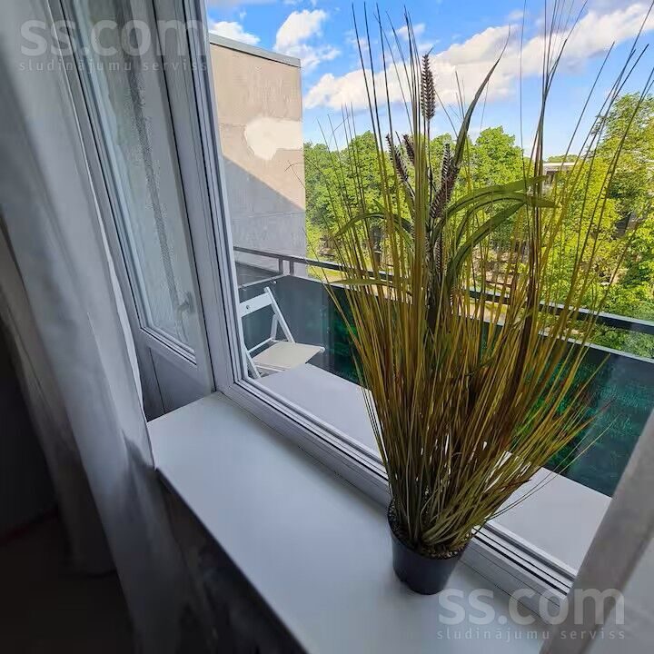 Apartment photo 3