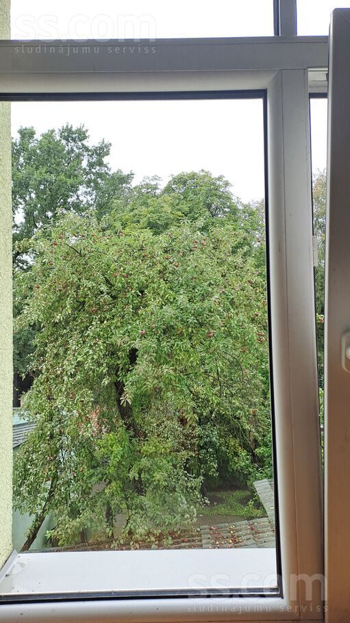Apartment photo 9