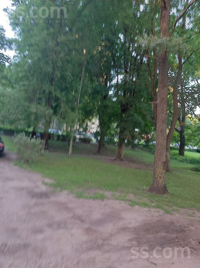 Vangažu 11
