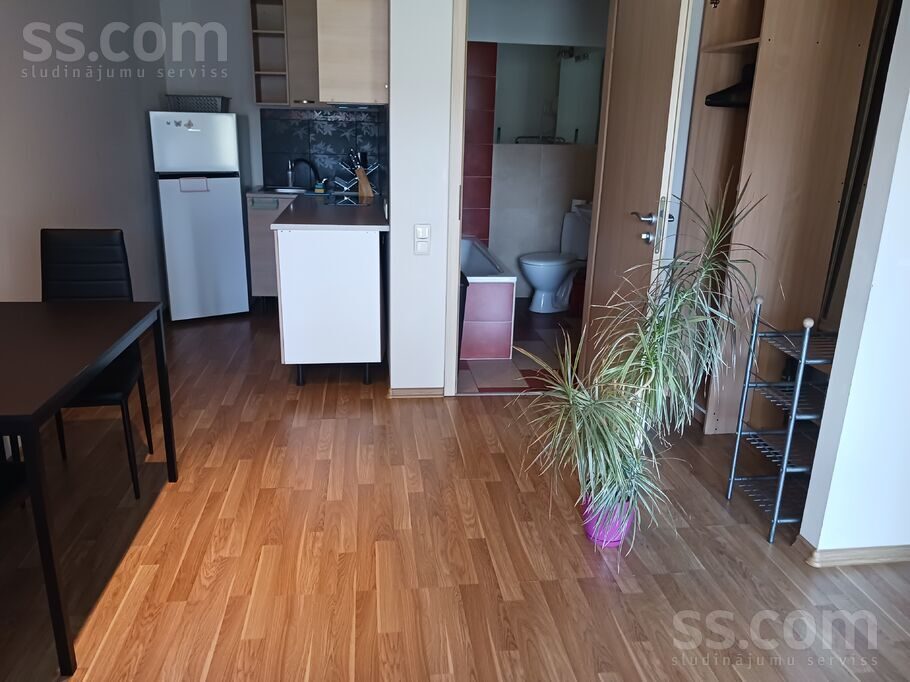 Apartment photo 16