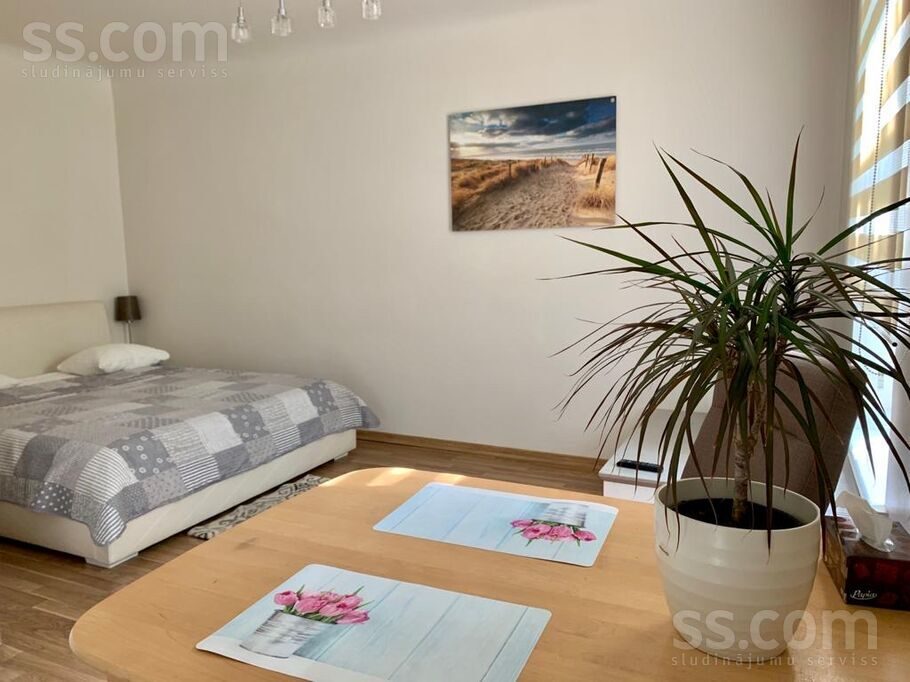 Apartment photo 3